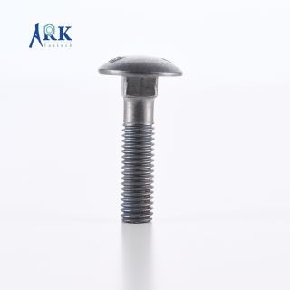 Screw Bolt-Carriage Bolt-5637